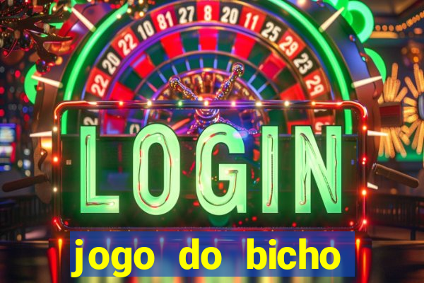 jogo do bicho crash bingo