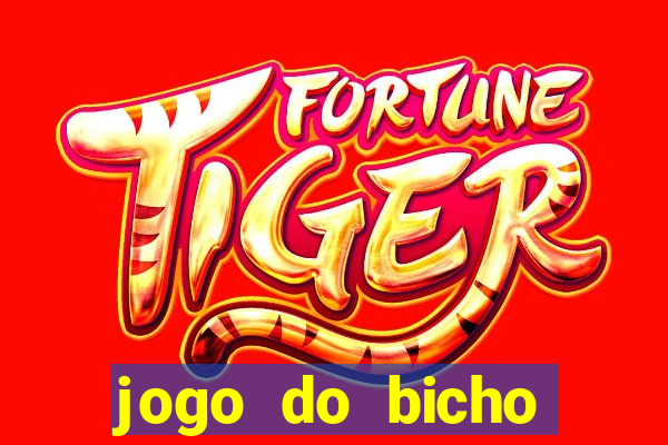 jogo do bicho crash bingo