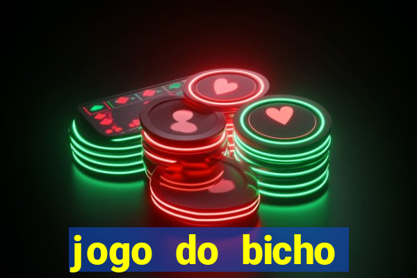 jogo do bicho crash bingo