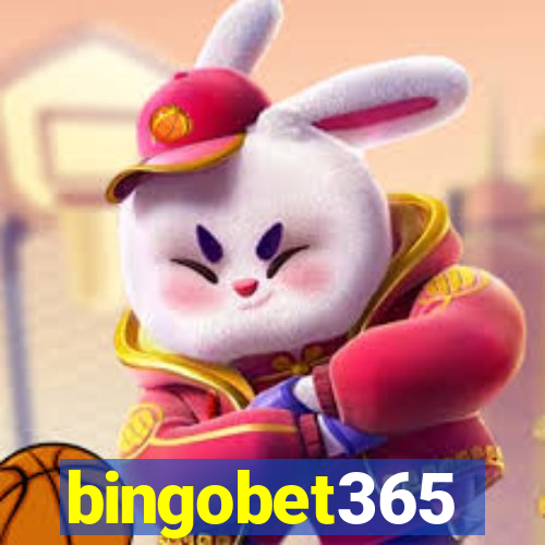 bingobet365