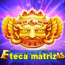 teca matriz