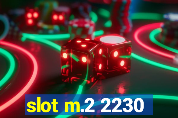 slot m.2 2230