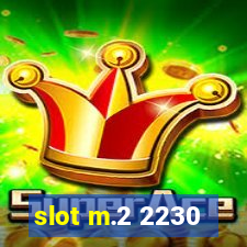 slot m.2 2230