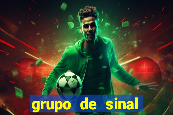 grupo de sinal fortune tiger