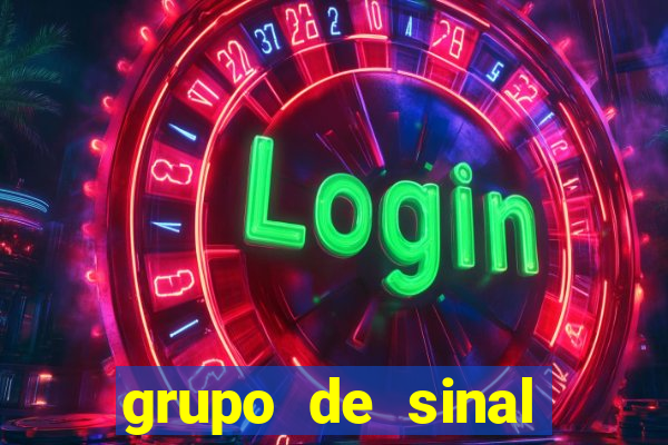 grupo de sinal fortune tiger