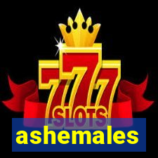 ashemales