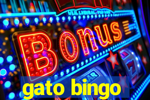 gato bingo