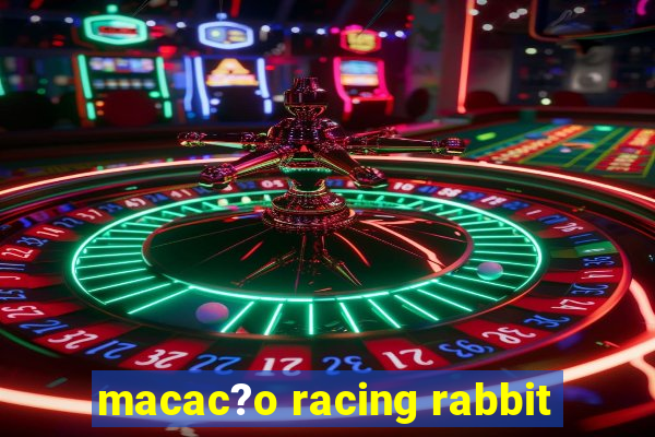 macac?o racing rabbit