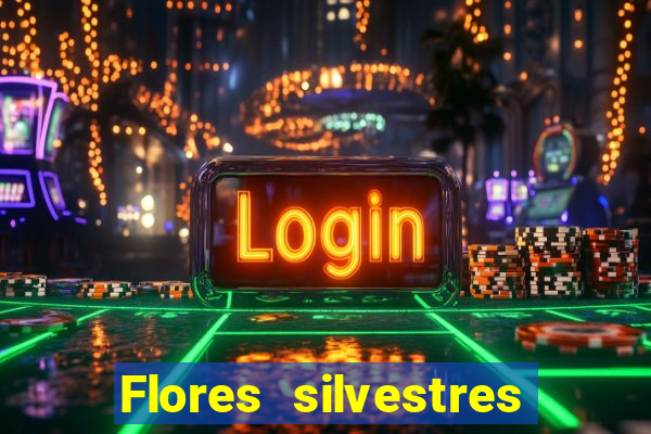 Flores silvestres brasileiras 25