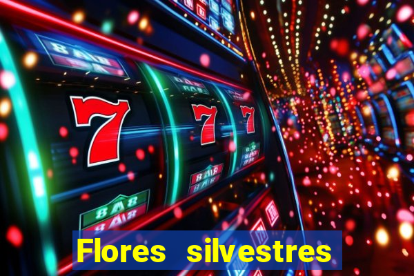 Flores silvestres brasileiras 25