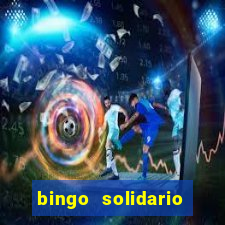 bingo solidario como organizar