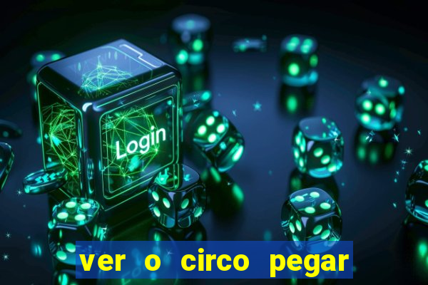 ver o circo pegar fogo significado