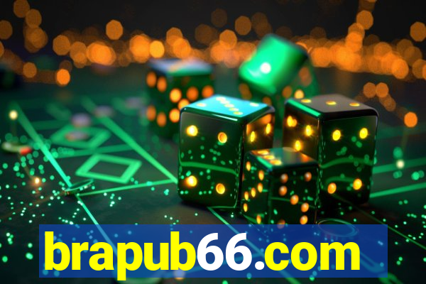 brapub66.com