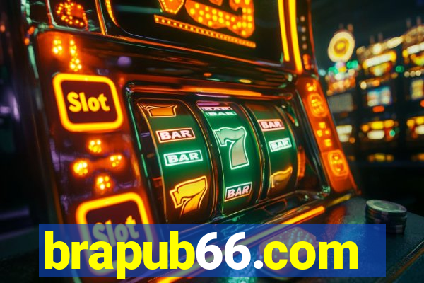 brapub66.com