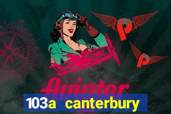 103a canterbury street casino nsw 2470