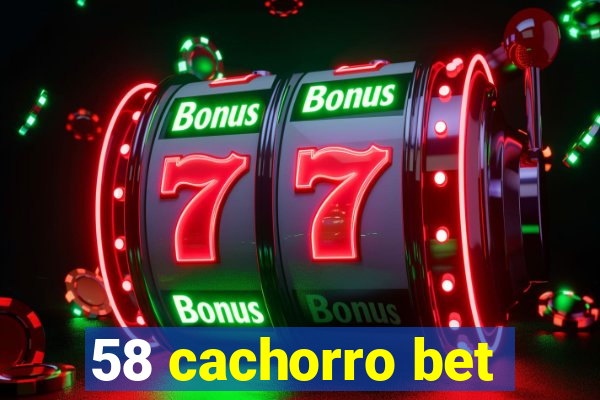 58 cachorro bet