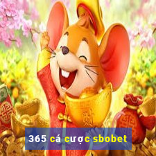 365 cá cược sbobet