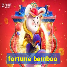 fortune bamboo