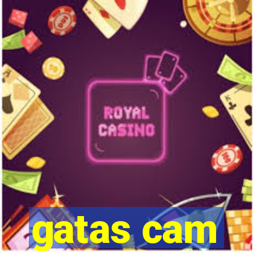 gatas cam