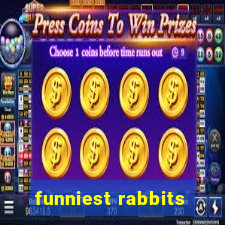 funniest rabbits