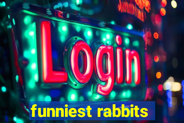 funniest rabbits