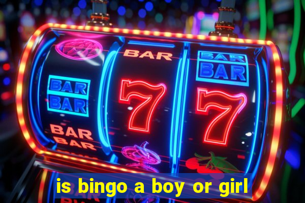 is bingo a boy or girl