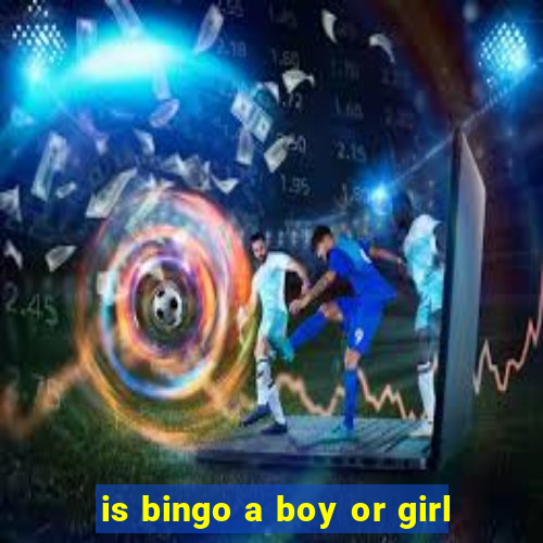 is bingo a boy or girl