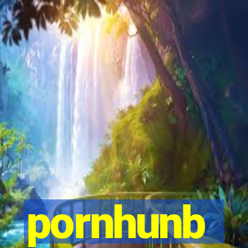 pornhunb