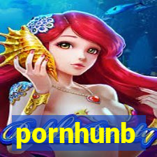 pornhunb