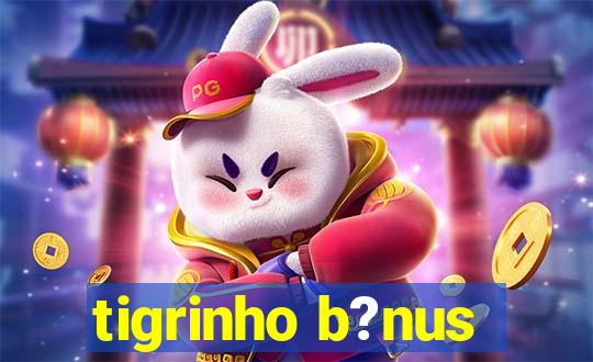 tigrinho b?nus