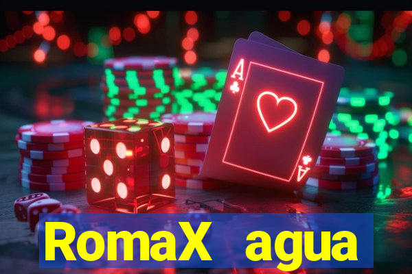 RomaX agua sanitaria fispq agua sanitaria romax