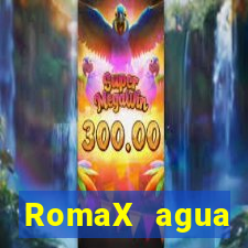 RomaX agua sanitaria fispq agua sanitaria romax