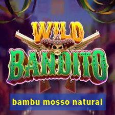 bambu mosso natural