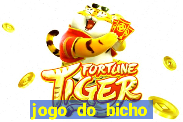 jogo do bicho ganhar dinheiro