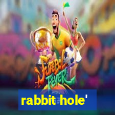 rabbit hole'