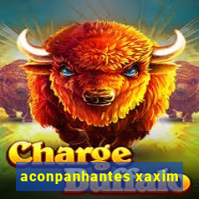 aconpanhantes xaxim