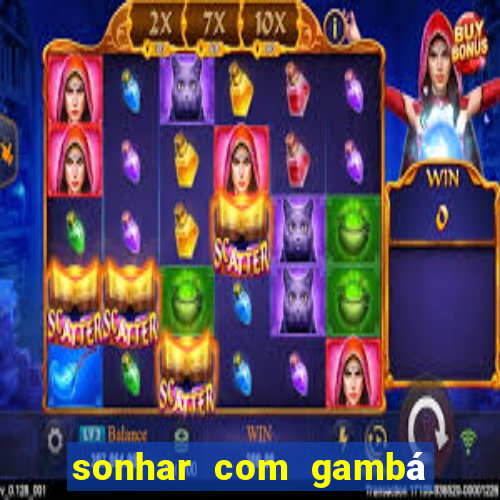 sonhar com gambá jogo do bicho