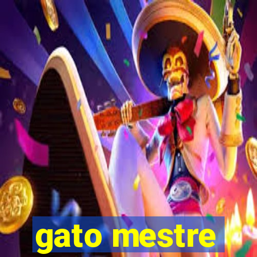 gato mestre