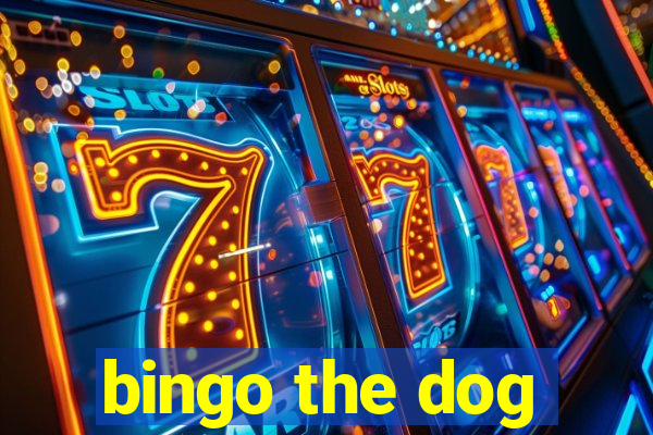 bingo the dog