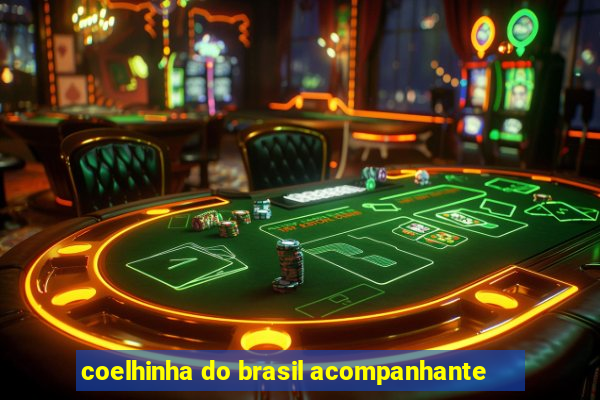 coelhinha do brasil acompanhante