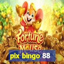 pix bingo 88