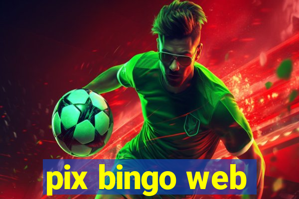 pix bingo web