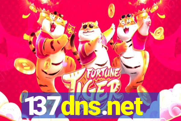 137dns.net