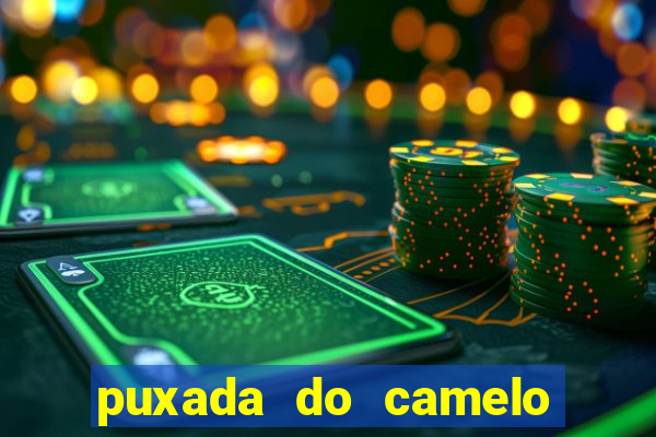 puxada do camelo no jogo do bicho