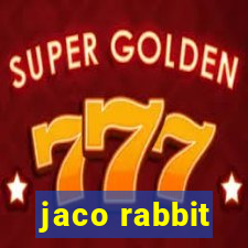 jaco rabbit