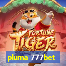 pluma 777bet