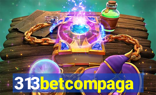 313betcompaga