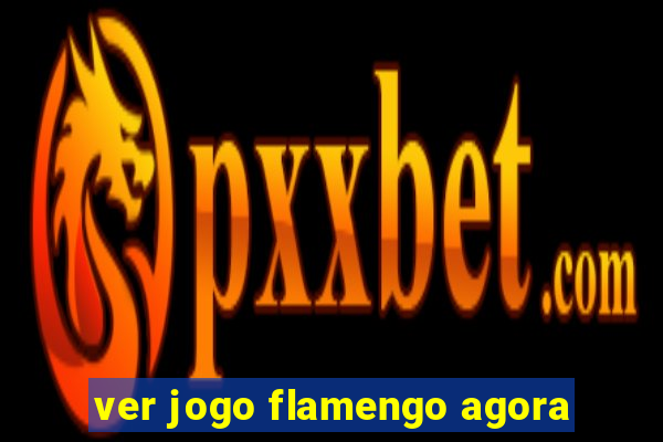 ver jogo flamengo agora