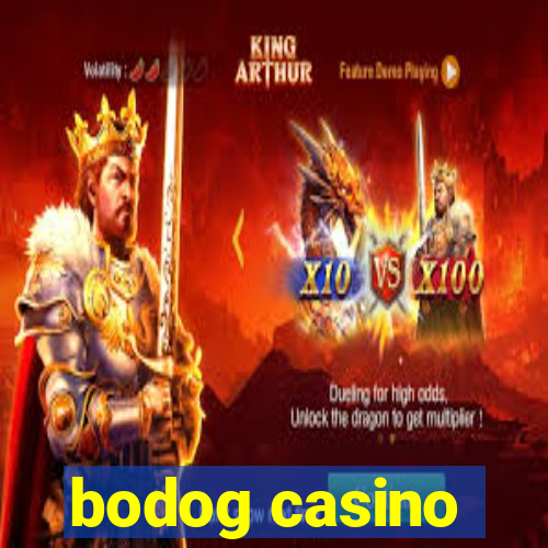 bodog casino