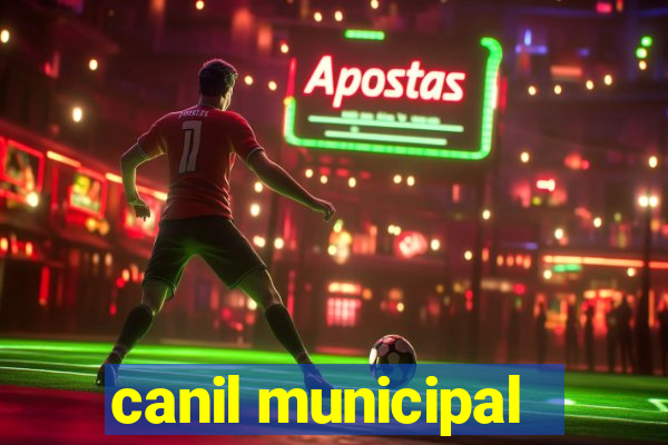 canil municipal